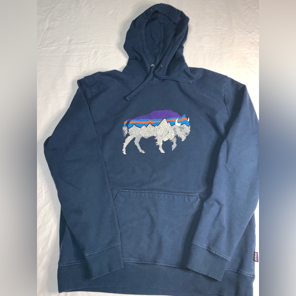 Patagonia blue hooded sweatshirt